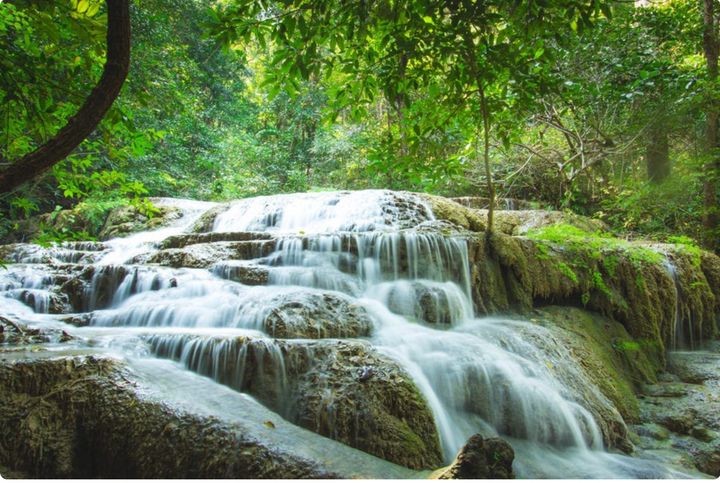 The Noise-to-Tinnitus Cascade